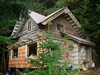The Zeiger Family Homestead Blog