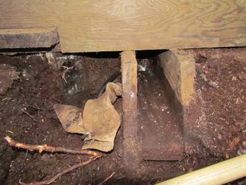 The valve box with exposed water line on the left side (Photo: Mark A. Zeiger).