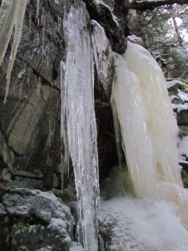 Some of the icicles are clear, others colored by tannins in the groundwater. (Photo: Sarah A. Zeiger.)