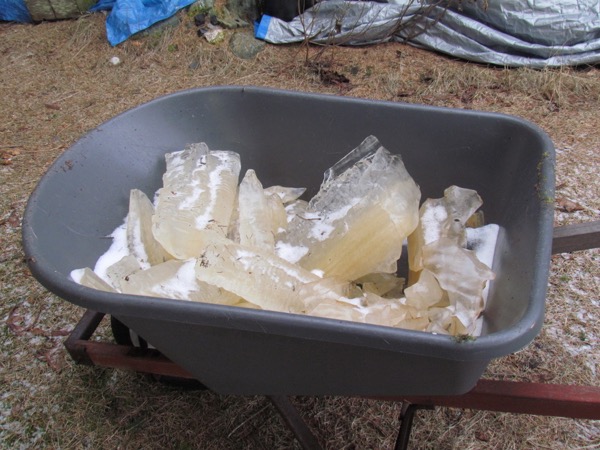 wheelbarrow full of ice