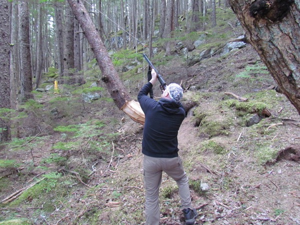 shooting a tree branch