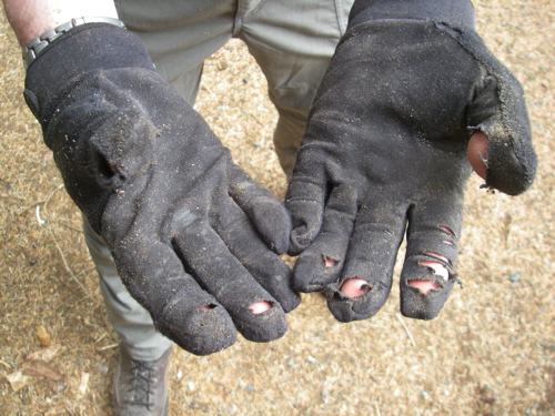 worn out work gloves