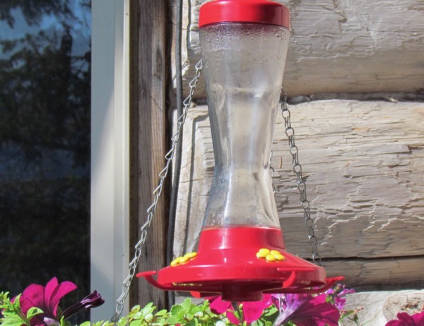 empty hummingbird feeder