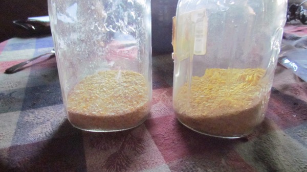 cornmeal vs. nutritional yeast